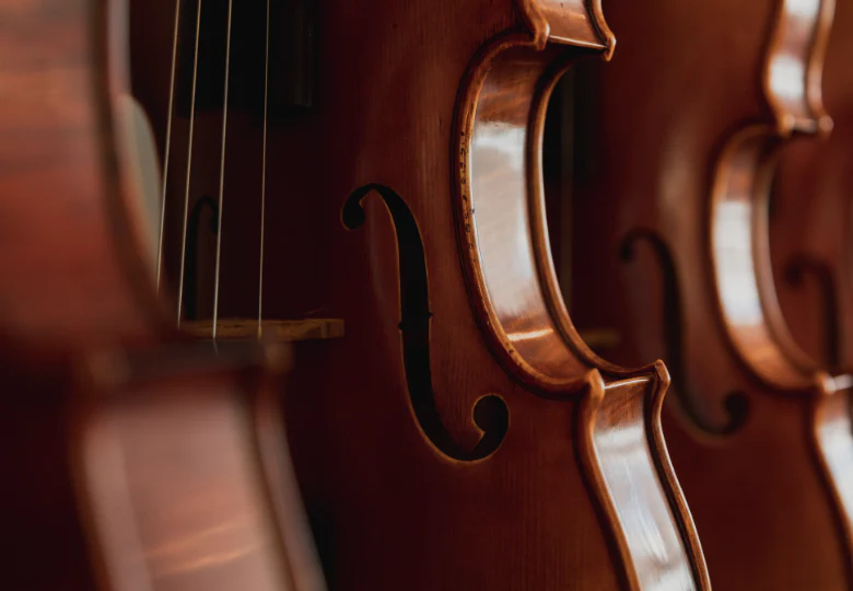 Welcome to Our Store