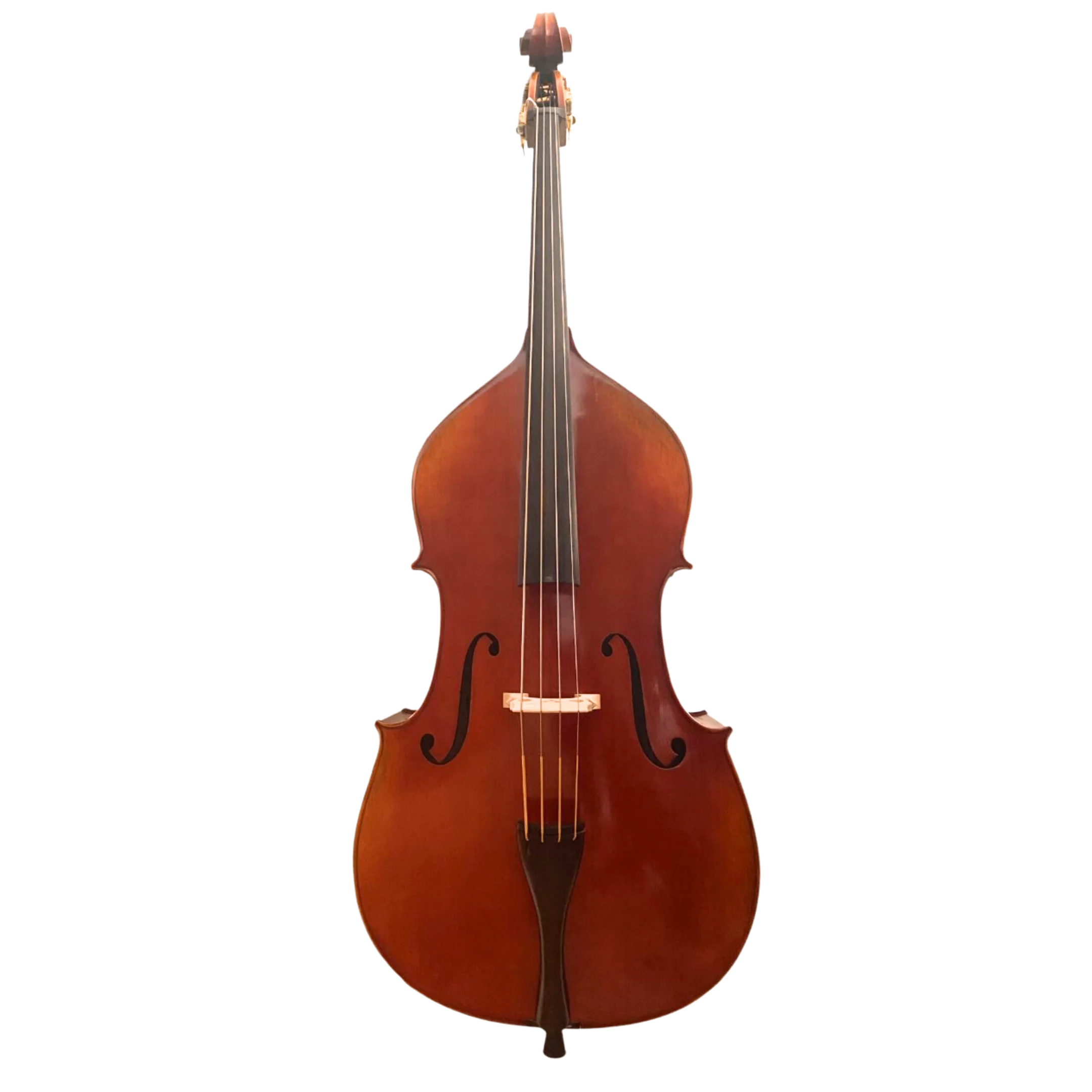 Monteverdi Double Bass 3/4 - Image 4