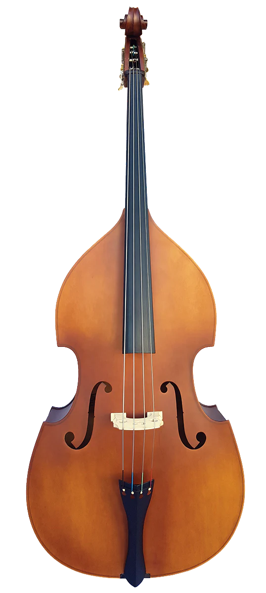 Prelude Double Bass Outfit - Image 3