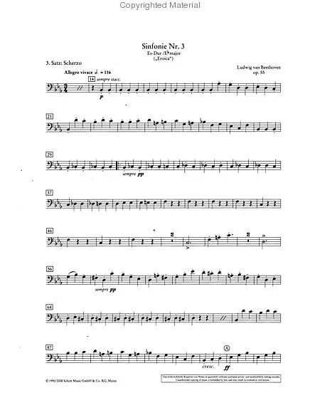 Orchester Probespiel (Test Pieces for Orchestral Auditions) for Double Bass (Schott) - Image 5