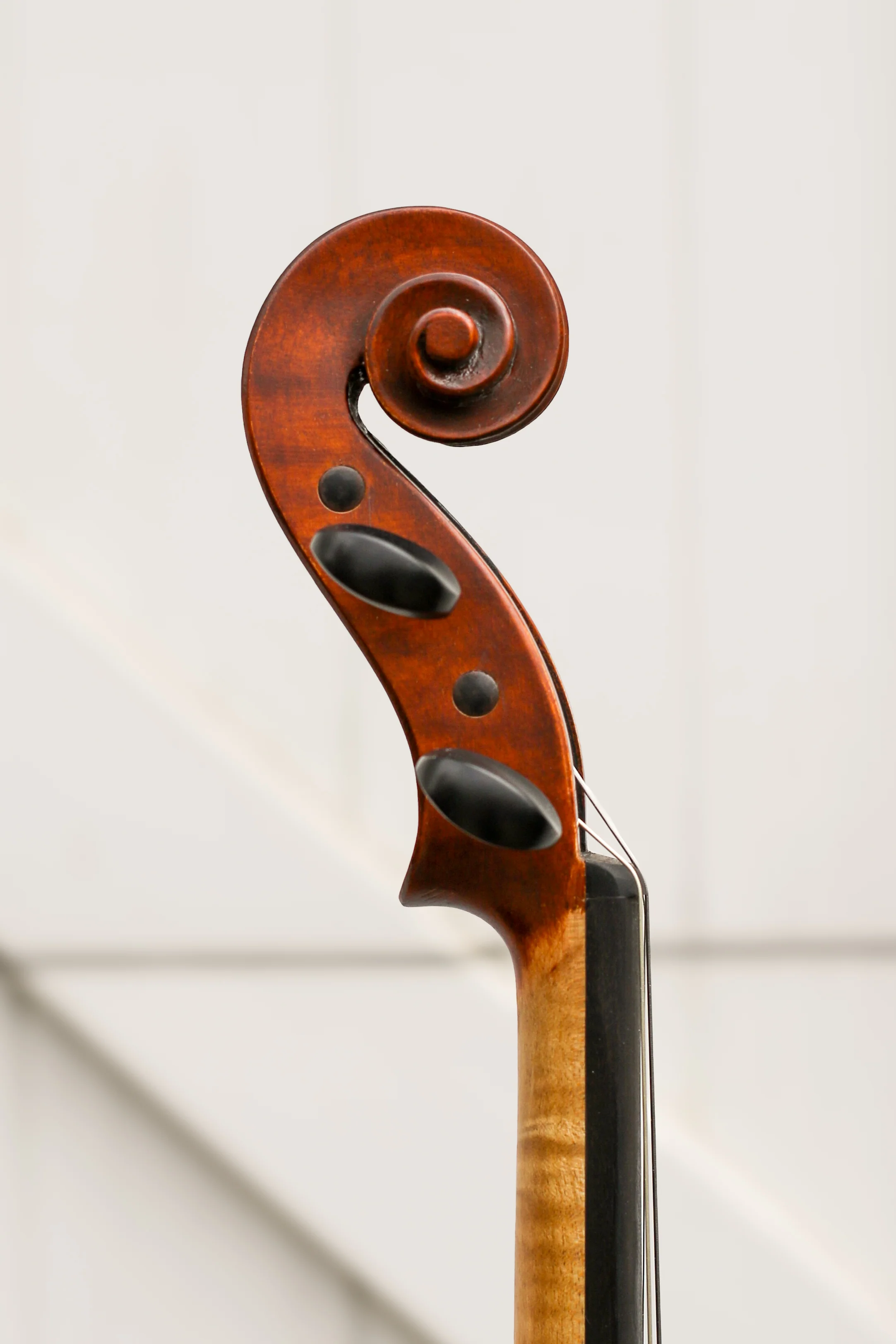 Virtuoso Violin Outfit - Image 4